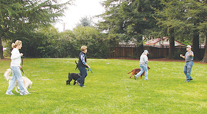 Mission City Dog Training