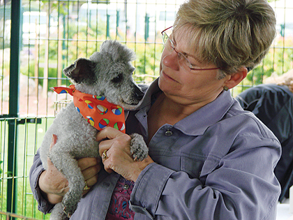 HSSV Celebrates Small Breed Dogs