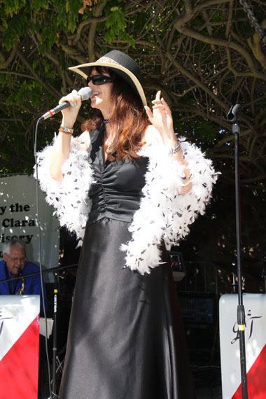 Concerts in the Park