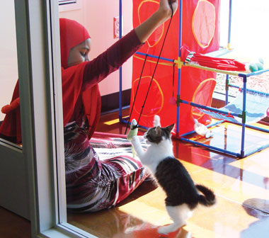 SVACA Helps Combat Overpopulation by Holding Annual Adoptathon