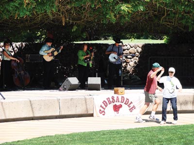 Concert in the Park Series