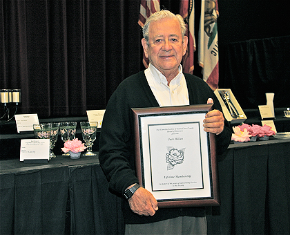 Chance Encounters Lead to Love-of Camellias