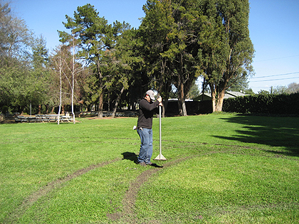 Park Watch: Police Stress Importance of Reporting Vandalism
