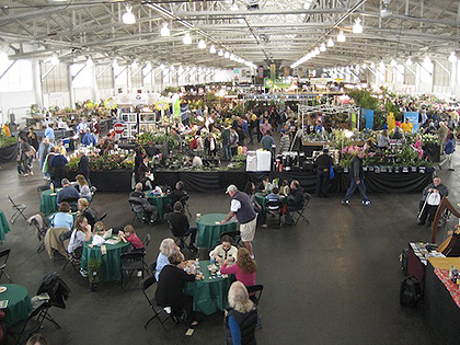 Days of Wine and Orchids