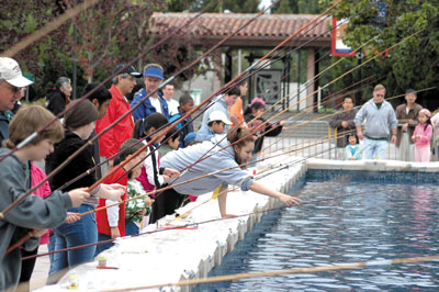 A Fin-Filled Tradition