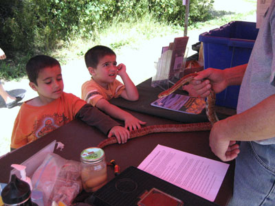 Ulistac Natural Area Wildflower Celebration April 7-Bring the Kids!