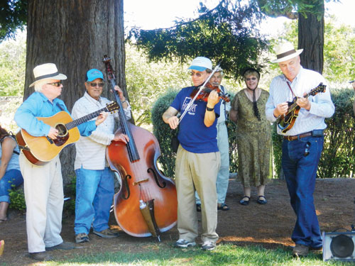 Fidders Association is Fun for Everyone