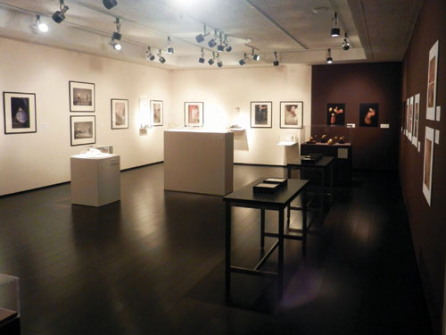 deSaisset Museum Modifies Art