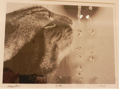 Best of the Best in Photos at Triton