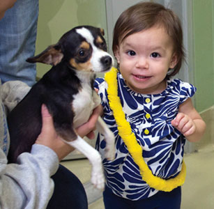 SVACA's Annual Event Finds Homes for Homeless Animals