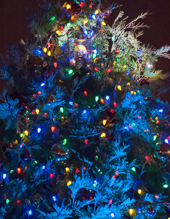 A Tradition with a New Twist