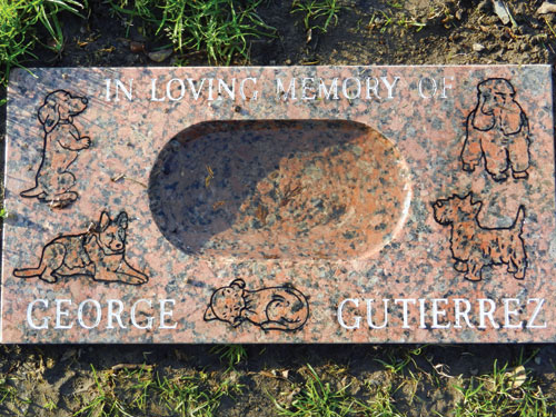 Donated Dog Bowl Delights Drinkers