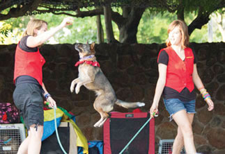 Concerts in the Park Kickoff with Family Fun Night