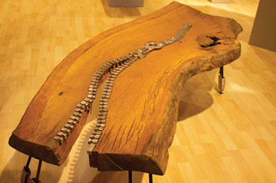 Pairs Present Pieces at Vargas