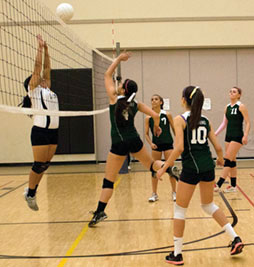 Celtics Top Eagles in Final Game of the Season