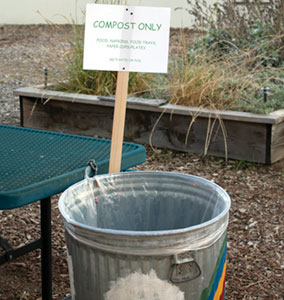 Westwood Elementary Goes Green