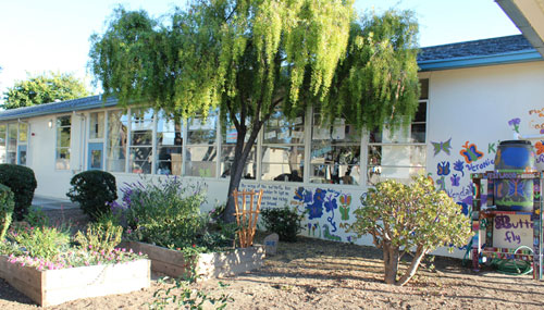 Girl Scout Troop 60326 Helps to Green Westwood Elementary School