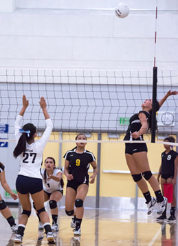 Lady Chargers Open Season with Loss at Home