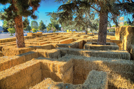 Mystery Maze Now Open