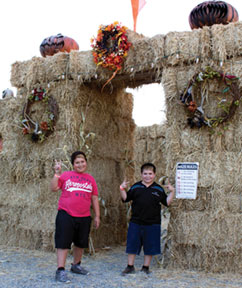 Mystery Maze Now Open