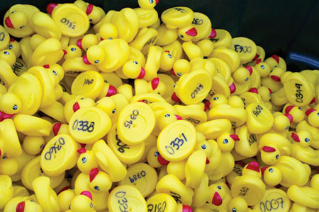 Ducks Race to Support Girl Scouts