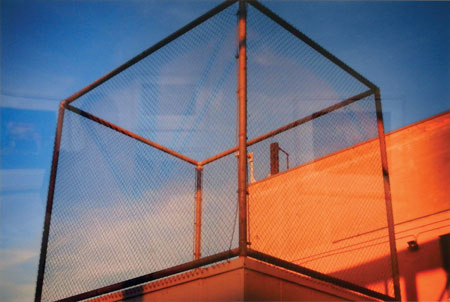 Triton Photography Winner Shines in New Exhibit Triton Photography Winner Shines in New Exhibit