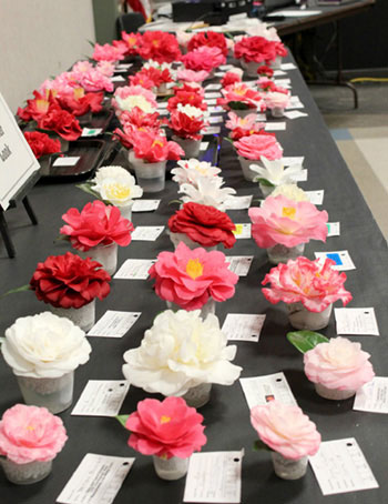 Camellia Flower Show