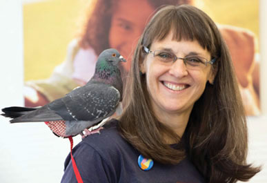 SVACA Finds Homes for Homeless Animals, Needs Fosters SVACA Finds Homes for Homeless Animals, Needs Fosters