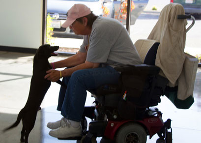 Community Help Needed to Save Injured Dog Community Help Needed to Save Injured Dog