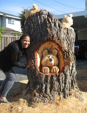 Three Bears Spotted on Pruneridge