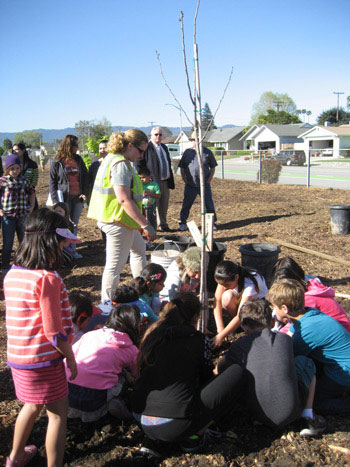 Sutter Tree Planting Inspires Students and Renews Campus Sutter Tree Planting Inspires Students and Renews Campus