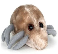 The Santa Clara Weekly's Holiday Gift Guide The Santa Clara Weekly's Holiday Gift Guide