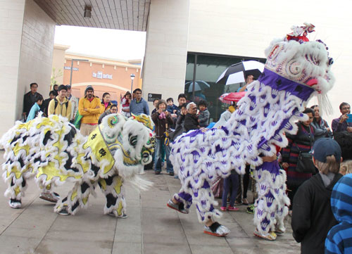 Northside Library Drums in Lunar New Year