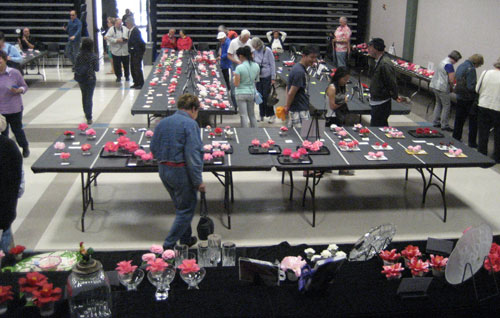 Prima Donnas of the 74th Annual Camellia Show