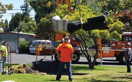 Triton Museum Adds to Permanent Collection Triton Museum Adds to Permanent Collection
