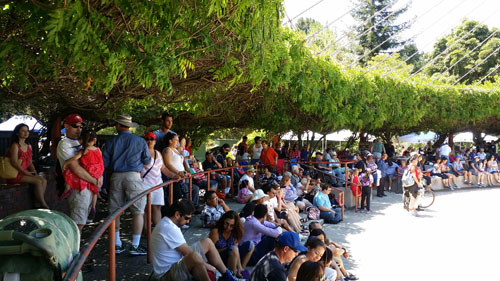 From Dawn's Light to Rocket's Glare, Santa Clara Celebrates Fourth of July Santa Clara Civic Spirit Skyrockets at July Fourth Picnic