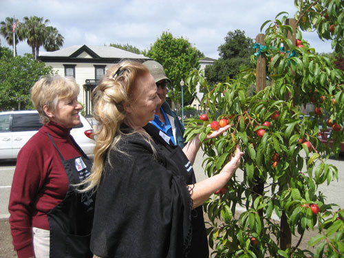 Harris-Lass House Museum Celebrates 150th Birthday with Dedication of Restored Heritage Orchard