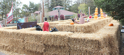 Great America's Great Pumpkin Fest Offers Non-Scary Delights Great America's Great Pumpkin Fest Offers Non-Scary Delights