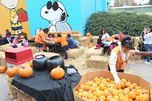 Great America's Great Pumpkin Fest Offers Non-Scary Delights