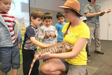Children Get Hands-On with Reptiles at Northside Library's Jungle James Animal Kingdom Children Get Hands-On with Reptiles at Northside Library's Jungle James Animal Kingdom