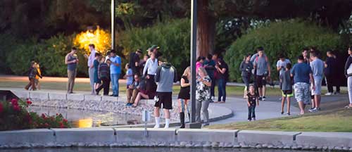 Gotta' Catch Them All