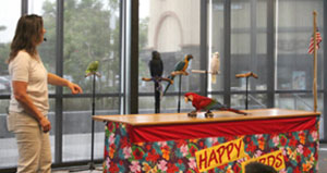 Northside Library's Summer Reading Kickoff Comes with Balloons, Birds and Bubbles