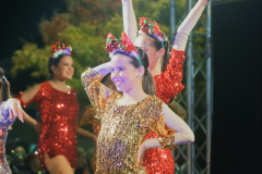 Cover-Tree-Lighting-005