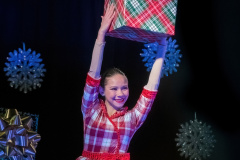 Cover-Holiday-Tree-Lighting-003