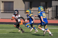 inside-Panthers-Seahawks-05