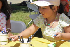 DLA-753-rock-painting