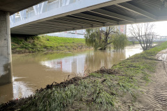 Levis-Stadium-San-Tomas-Aquino-Creek-Landscape-IV