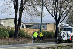 Tasman-Flooding-Sunnyvale-Landscape-III