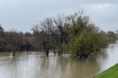 Water levels on the Guadalupe River are very high after a series of storms.