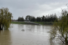 Water levels on the Guadalupe River are very high after a series of storms.